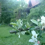 Birchy Hills Sitno (Pomerania)