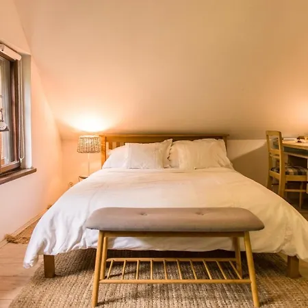 Apartament Birchy Hills Sitno (Pomerania)