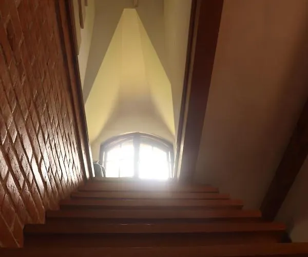 Birchy Hills * Sitno (Pomerania)