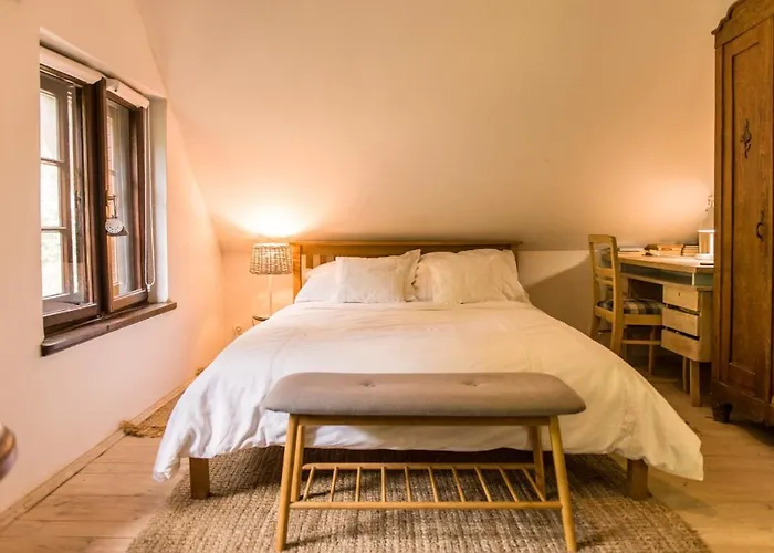 Apartament Birchy Hills Sitno (Pomerania)