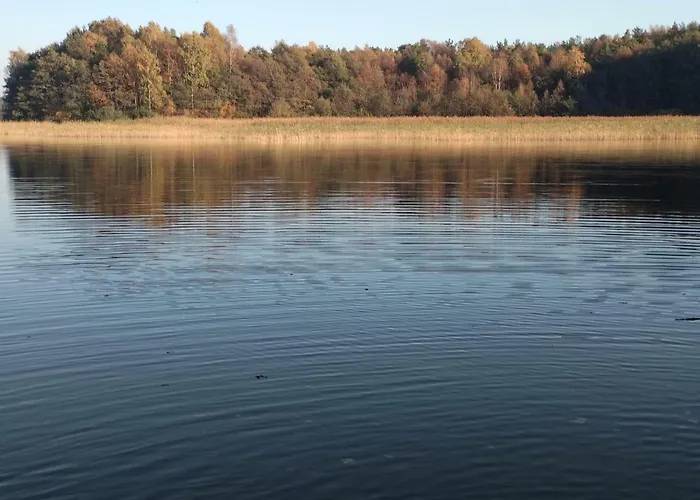 Birchy Hills Sitno (Pomerania)