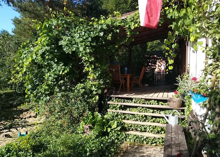 Birchy Hills Apartament *