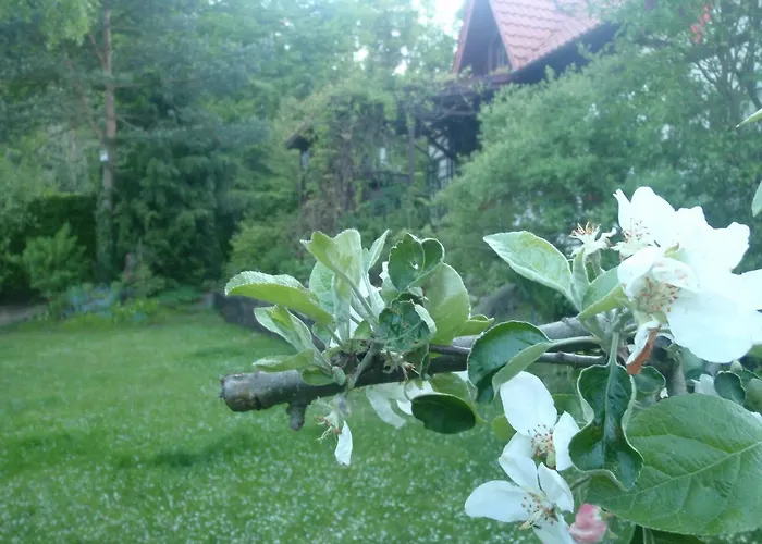 Birchy Hills Sitno (Pomerania)